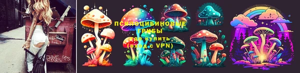PSILOCYBIN Алексин