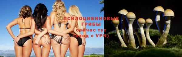 PSILOCYBIN Алексин