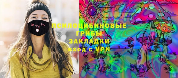 PSILOCYBIN Алексеевка