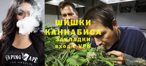 PSILOCYBIN Алексеевка