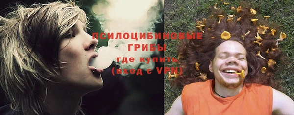 PSILOCYBIN Алексеевка