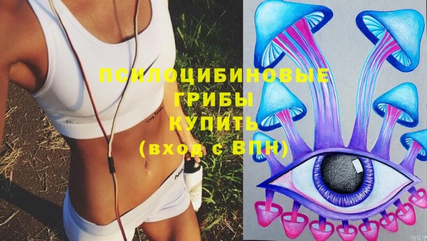 PSILOCYBIN Алексин