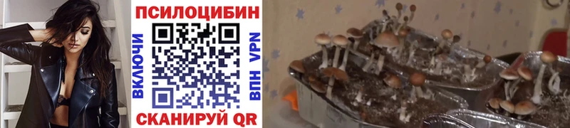 Псилоцибиновые грибы мухоморы  ссылка на мегу ссылки  Чаплыгин 